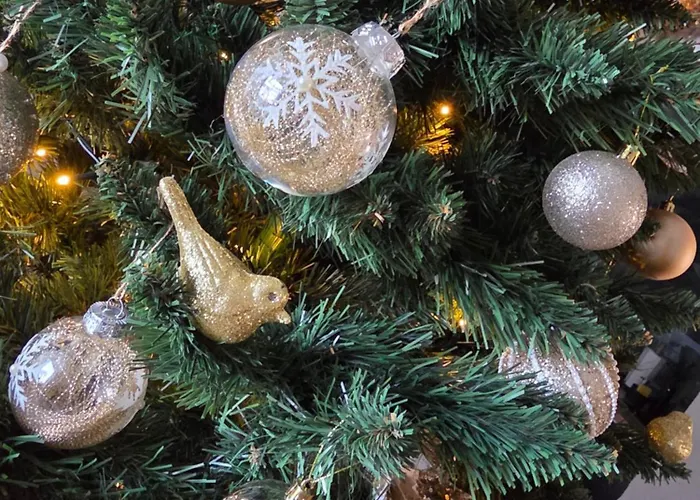 Eastside Apartments-apartament Rodzinny Przy Deptaku Zdrojowa 12 Swieradow-Zdroj